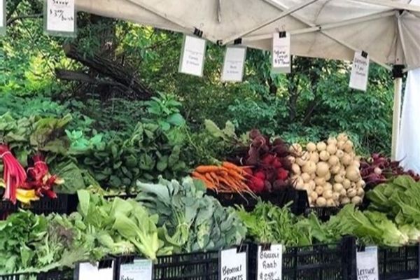 Cold Spring Farmer’s Market