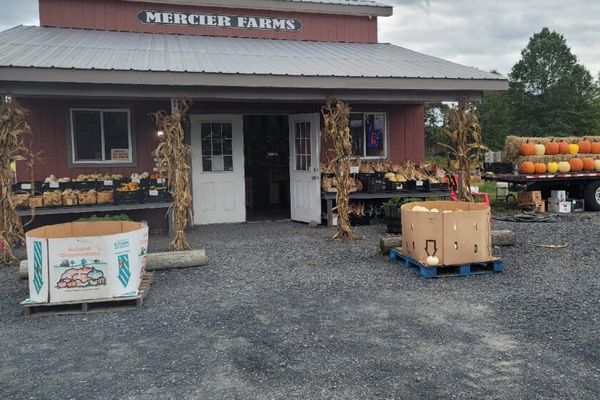 Mercier Farms