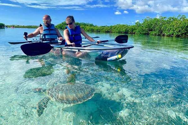 clear kayak and turtle