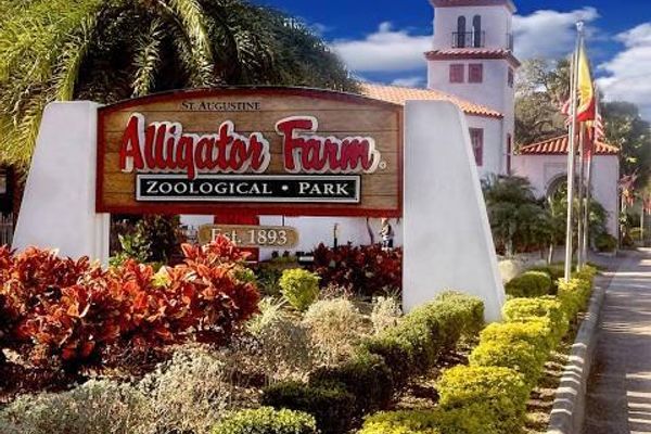 St. Augustine Alligator Farm Zoological Park