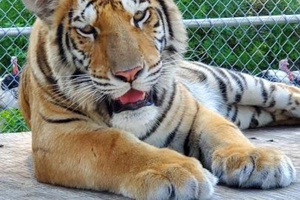 St. Augustine Wild Reserve