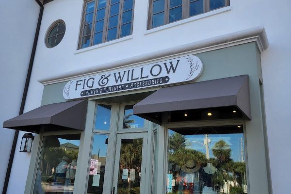 Fig & Willow