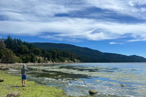Crescent Beach Trailhead