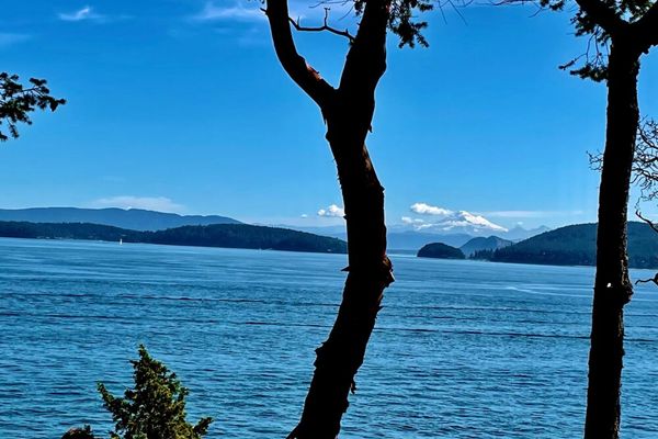 Upright Head Northern Point