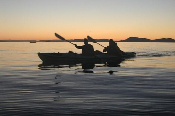 Shearwater Kayak Tours