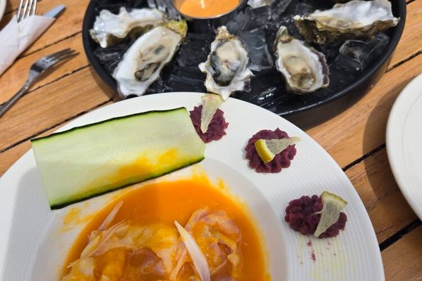 Harbor Bar and Grill