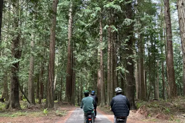 Wildlife Cycles
