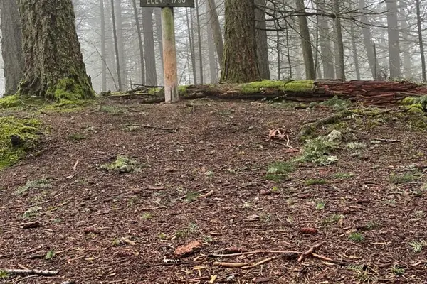 Mount Pickett Trail