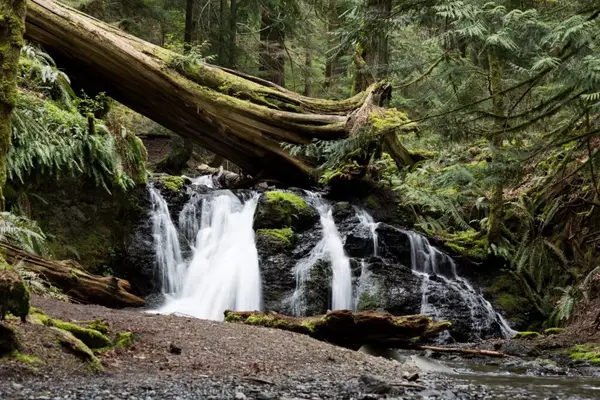 Moran State Park