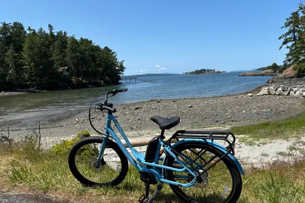 Wildlife Cycles