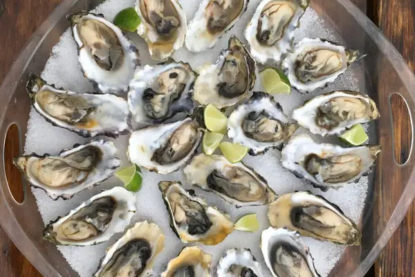 Buck Bay Shellfish Farm