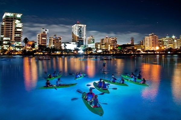LED Night Kayak excursion