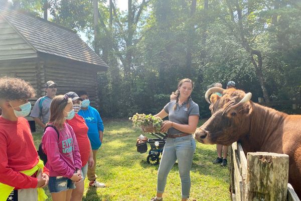 Island farm