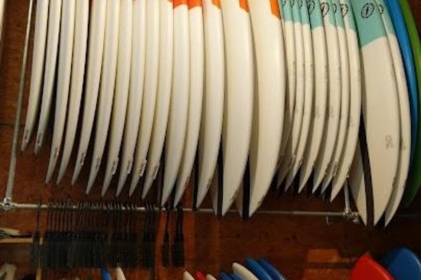 Farmdog beach services