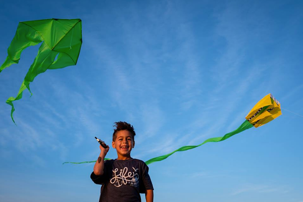 Kitty hawk kites