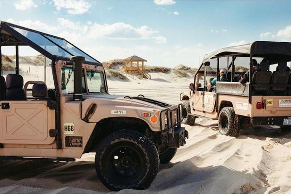 Wild horse adventure tours