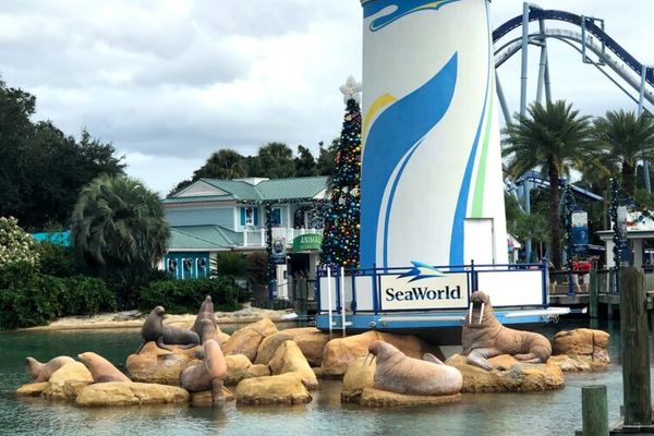 SeaWorld Orlando