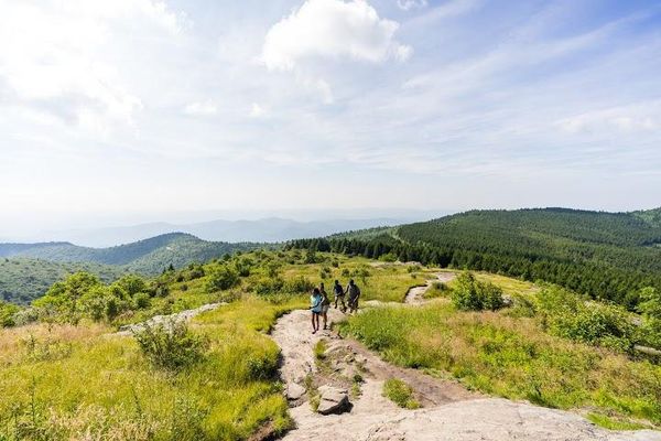 Panthertown Valley 3 Black balsam knob