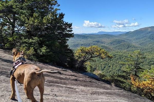 Panthertown Valley 2 Looking glass rock trailhead