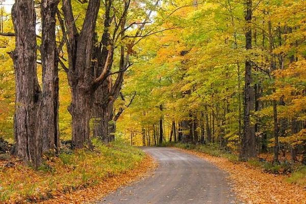 Things To Do 47 Estatoe bike & walking trail