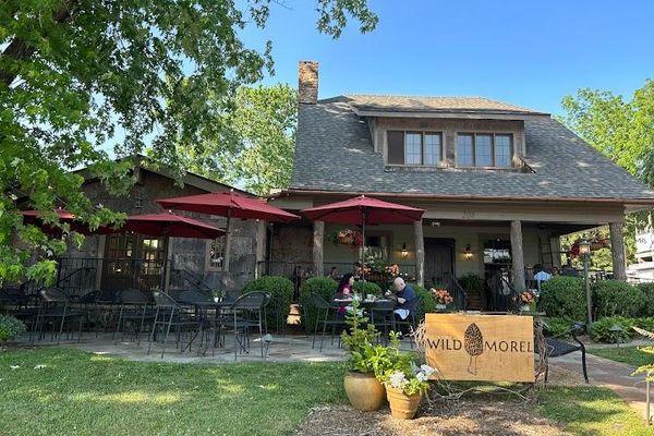 Things To Do 27 Wild morel