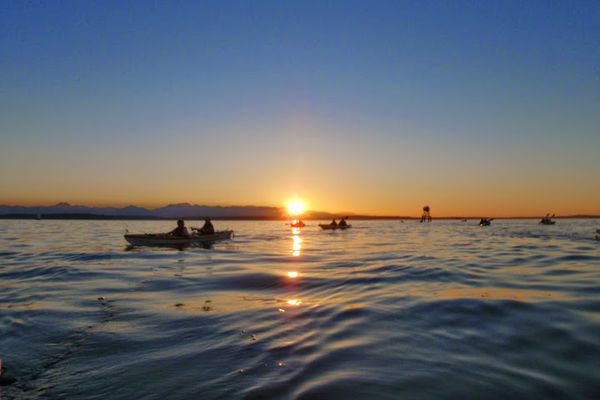 Alki Kayak Tours
