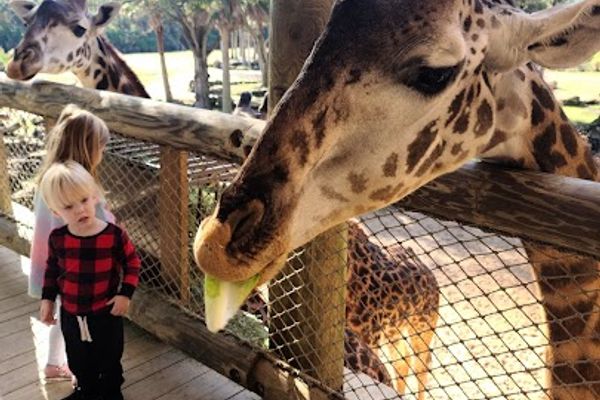Brevard Zoo