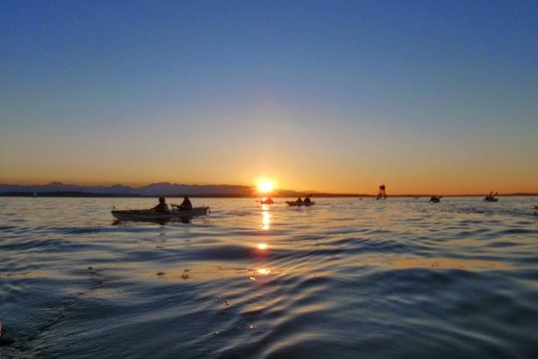 Alki Kayak Tours