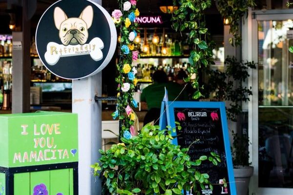 Discover Puerto Rico 94 El Beer Garden & Pizza Rústica