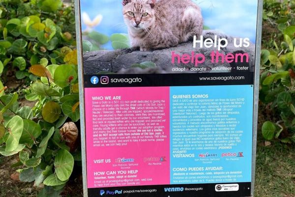 Discover Puerto Rico 101 Parque de Los Gatos