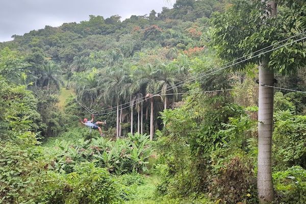 Caribbean Cinemas Metro 7 Yunque Ziplining