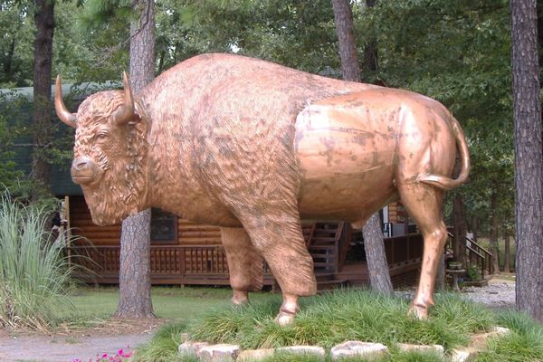 Beavers Bend Wildlife Museum- A Truly Enjoyable Time for Guests at Tin Star & Co. Cabins and Lodges in Hochatown