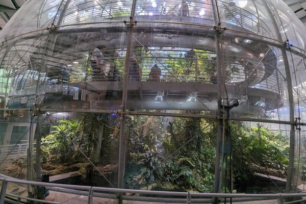 California Academy of Sciences