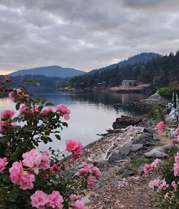 u0ptOKeKT8CC9rAVUS2R