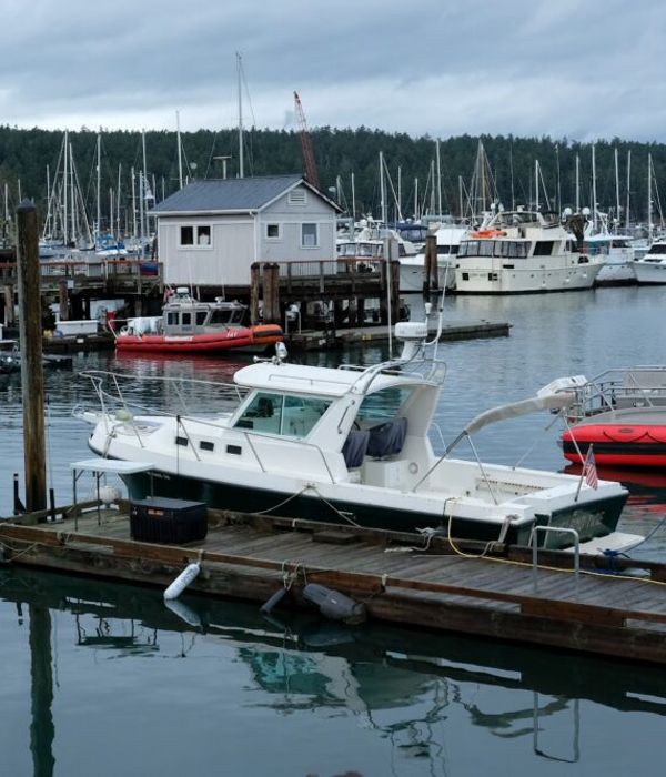 ZLlZJlnbQE2pkzaWwQ2S