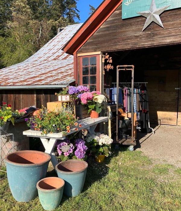 ZNpuZCWbQ72Q59sSfj4x 1