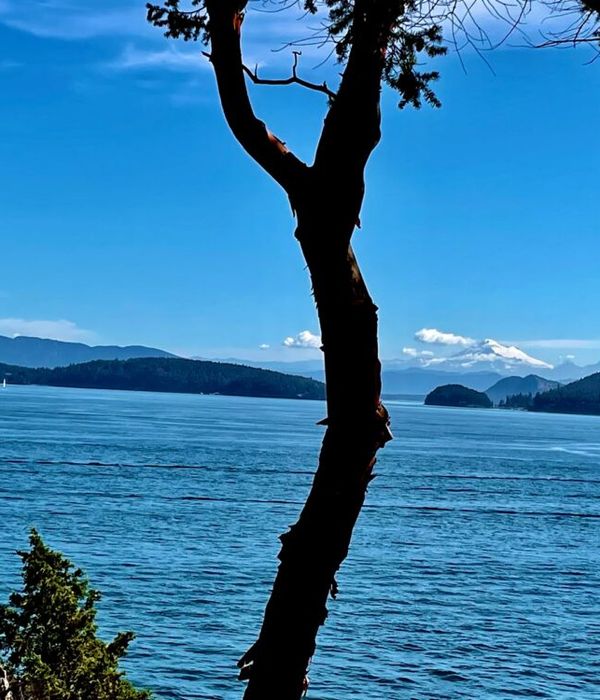 taP7M0bBRLOwfYbqyYeA