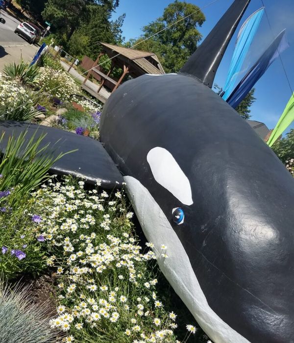 oegyfzH3SuOR9Sb6JRsM