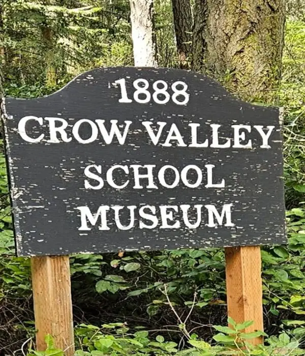 cvsm14.jpg