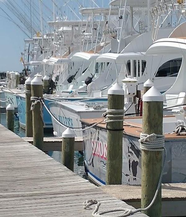 Jj5eqrrqesngtzibr2rg 1