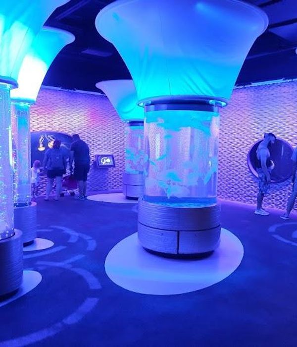 Kowcuqlgrh68eqpzshpv 1