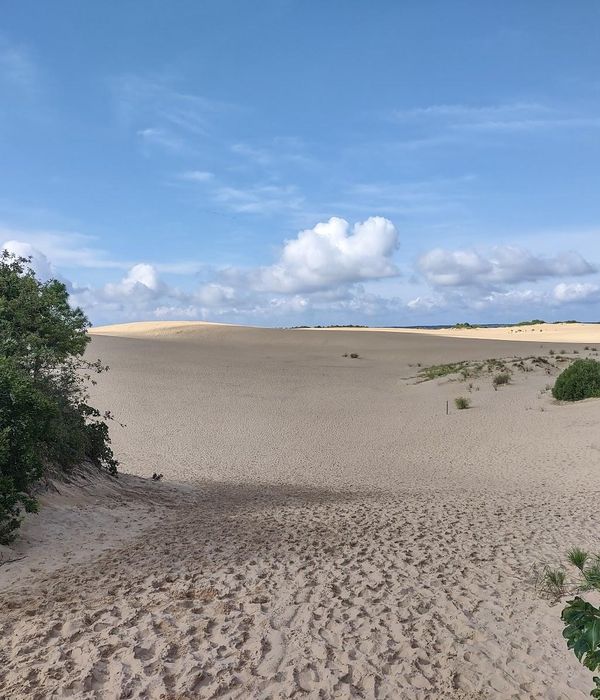 Fhhmnnrtywrgrndehwoa 1