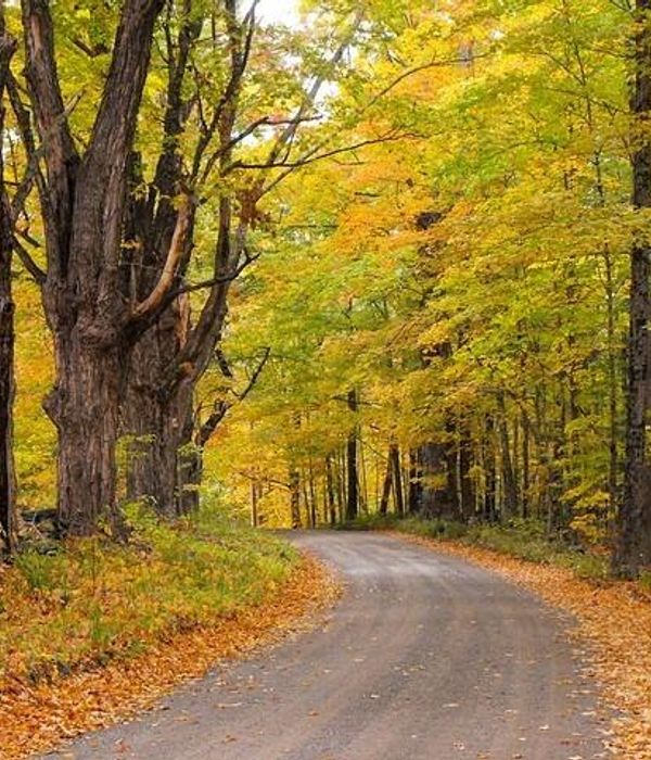 Wdvzocssewvkfehyg2ac 1