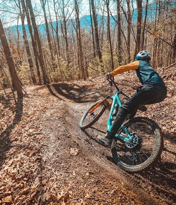 Yvdbbxqwee0i75wmdxzw 1