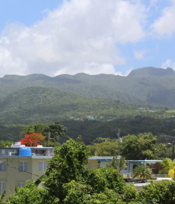 35B15FbzRUurRdjYrE4U 2