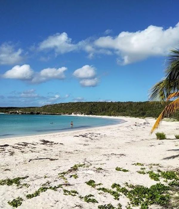 FeQfNvrqRsumszCGPnJh 2