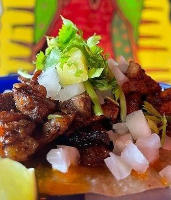 G2q8x4TARYSctnu92bOx 4