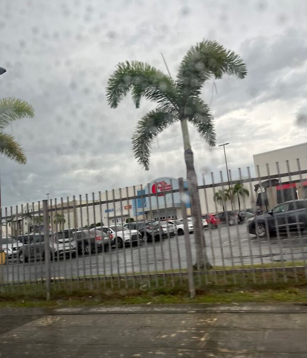 HOY92v0cQK6Bc0KVBTrj 1