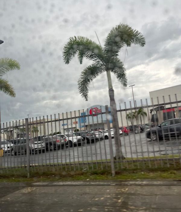 HOY92v0cQK6Bc0KVBTrj 2