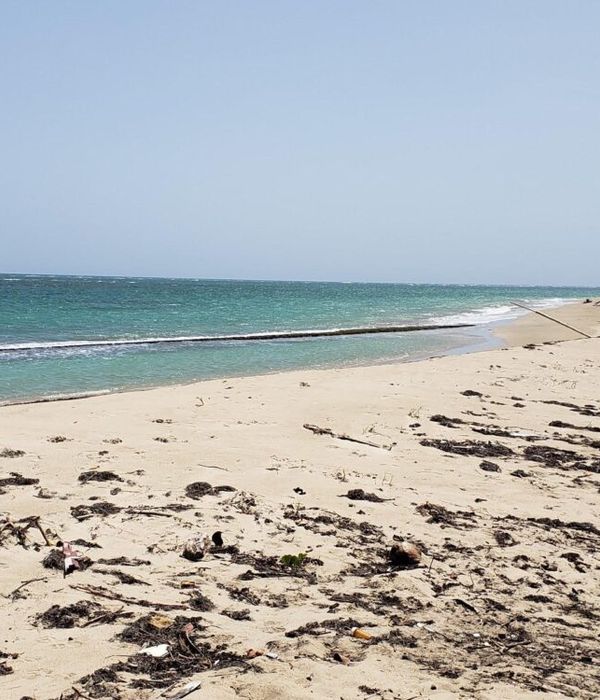 MlUzU1gRDuQrWfLMeROy 2